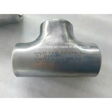 ASTM B363 / B381 Titanium Tip Rohrverschraubungen